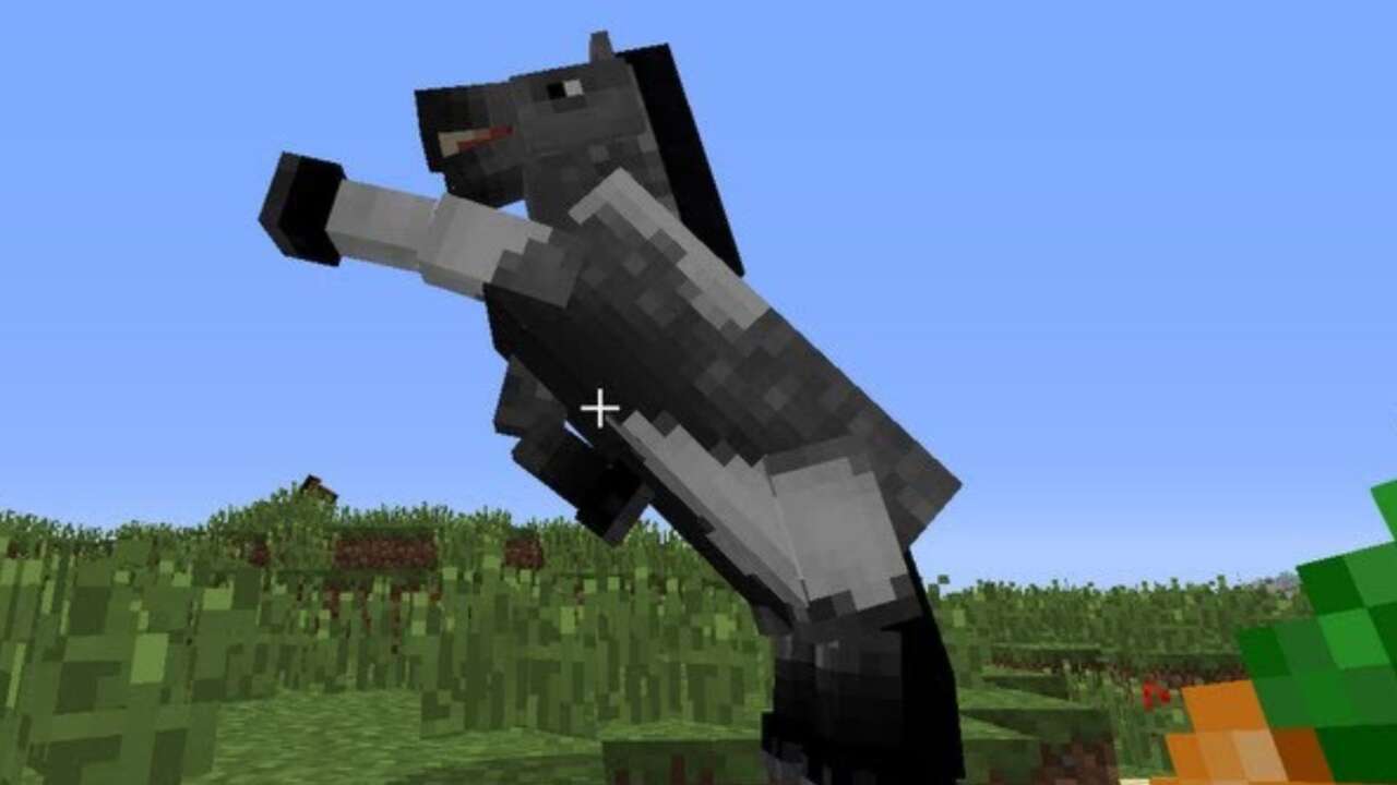 Read more about the article How To Find, Tame, Ride, And Breed Minecraft Horses