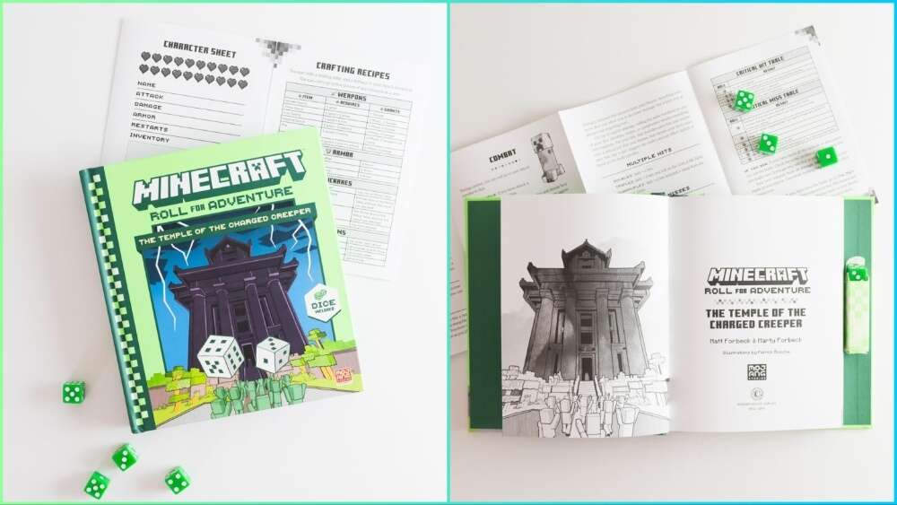 You are currently viewing Minecraft Is Getting A D&D-Style Tabletop RPG – Preorder The Adventure Book