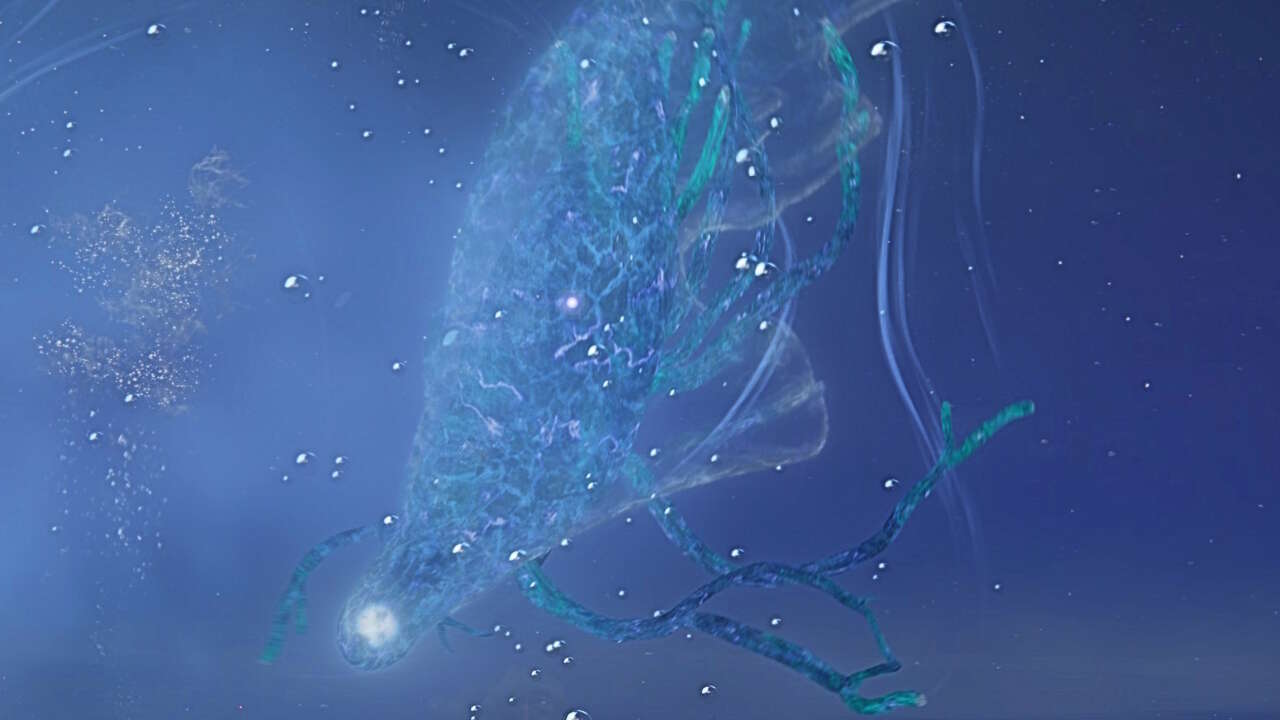 Read more about the article Elden Ring Nightreign Augur Fathom Of Night Boss Guide
