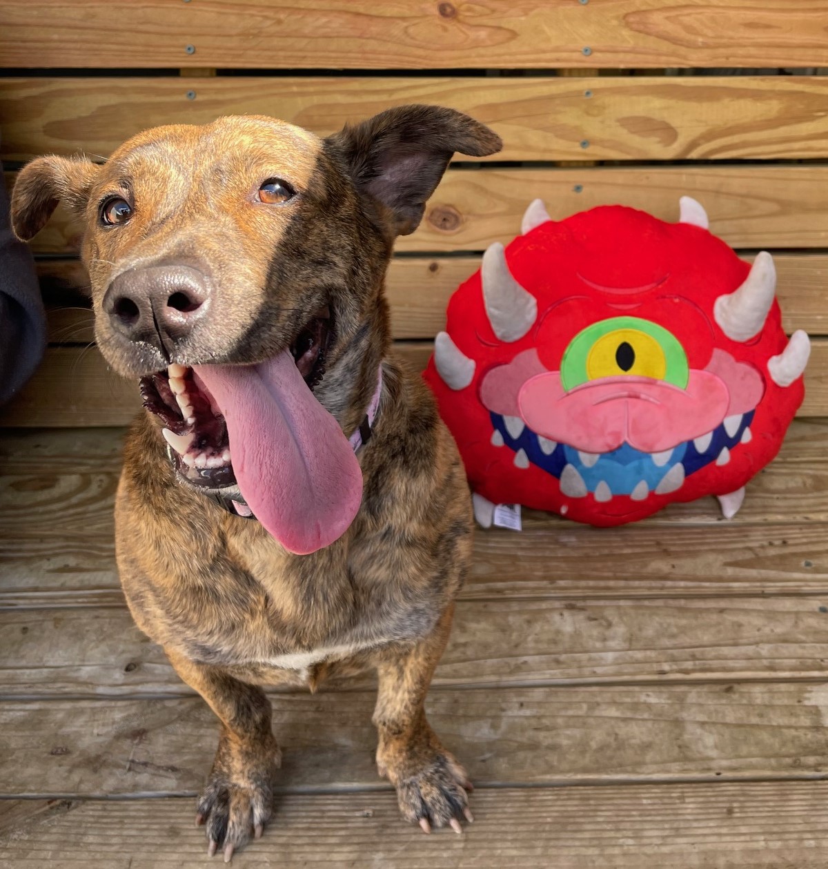 Read more about the article How DOOM: The Bark Ages Supports Animal Welfare Organizations