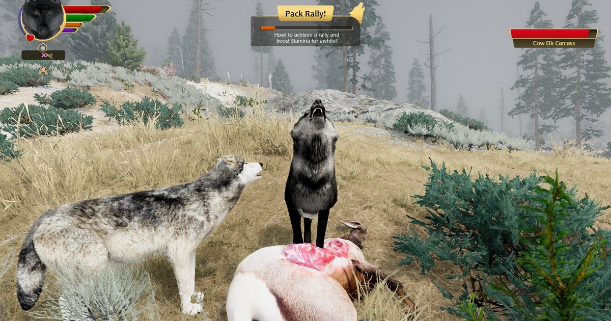 Read more about the article Good news, dorks – it is not too late to be a janky-ass wolf