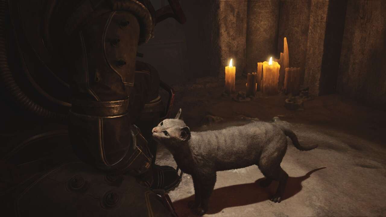 Read more about the article All Cats And Locations In Cronos: The New Dawn